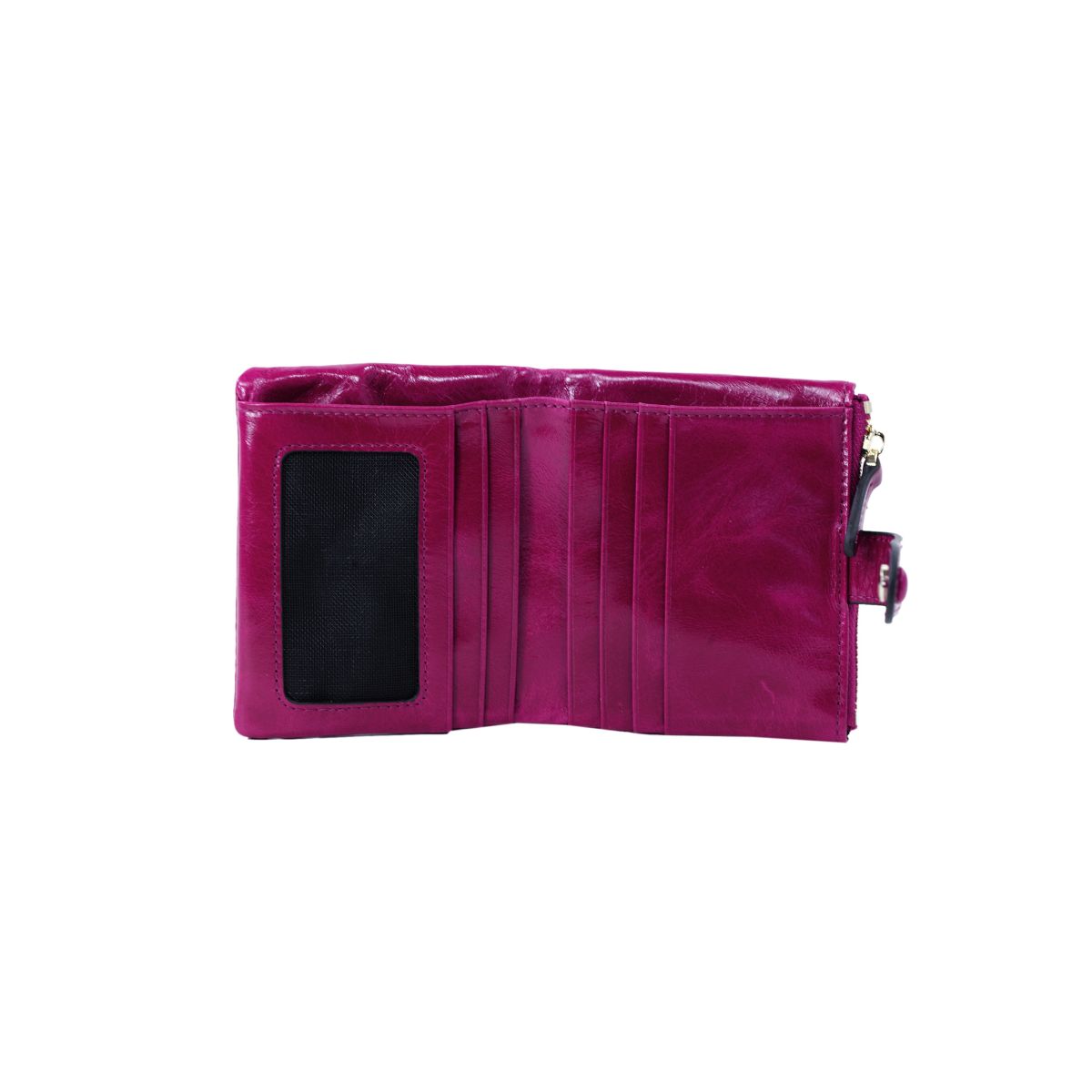 Кошелек GIULIANI donna 6033-31